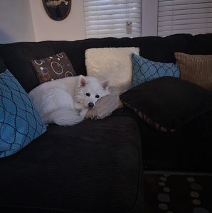 Meet your Posher, Wanda